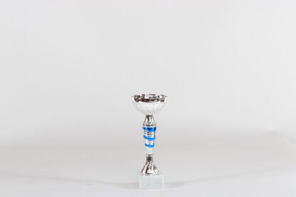 Coppa silver piccola con componente strisce blu h21 d80