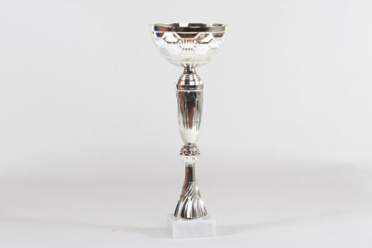 Coppa total silver con borchia h37 d140
