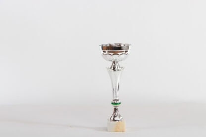 Coppa silver con componente verde d10 h26