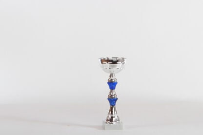Coppa silver con componenti blu d9 h22