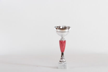 Coppa silver con componente rosso effetto marmo d10 h25
