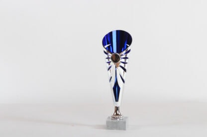 Coppa silver interno blu d9 h30