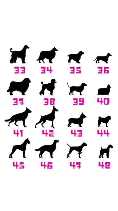 Pallina Natale cane stampato con nome | Pallina Natale personalizzata | Pallina cane silhouette personalizzata - immagine 2