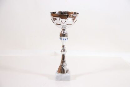 Coppa total silver h32 d14