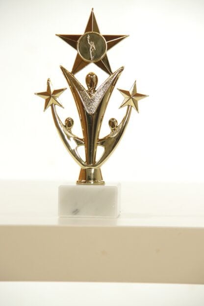 Trofeo oro con stelle con fugura atleta
H20