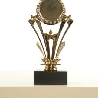 Trofeino oro con stelle portaetichetta con alloro
H20