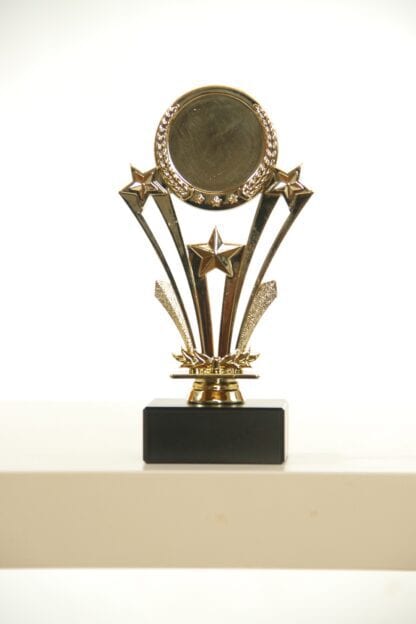 Trofeino oro con stelle portaetichetta con alloro
H20