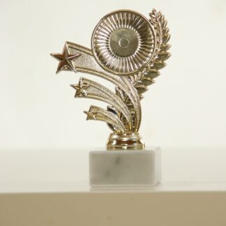 Trofeo oro con stelle e portaetichetta
H15