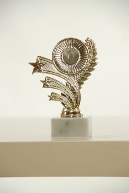 Trofeo oro con stelle e portaetichetta
H15