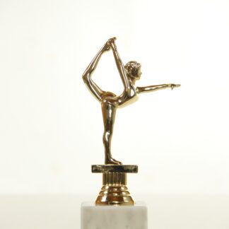 Trofeo oro ginnasta
H17