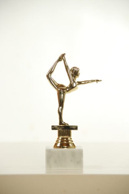 Trofeo oro ginnasta
H17